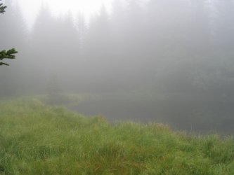 brouillard.jpg